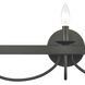 Williamson 3 Light 24 inch Black Vanity Light Wall Light
