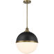 Vorey 1 Light 17.5 inch Coal And Oxidized Aged Brass Pendant Ceiling Light