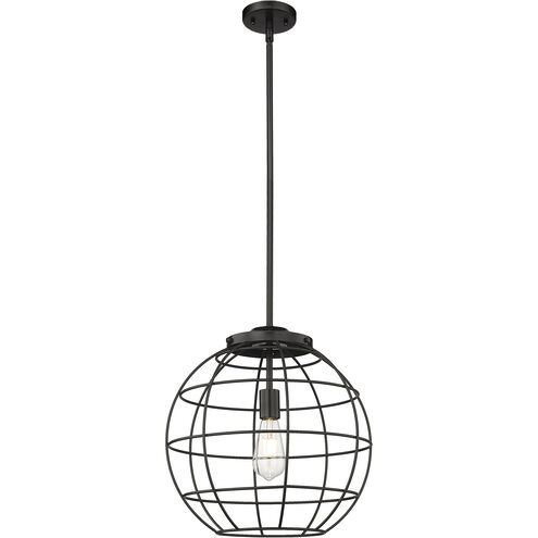 Lake Placid 1 Light 16 inch Matte Black Pendant Ceiling Light