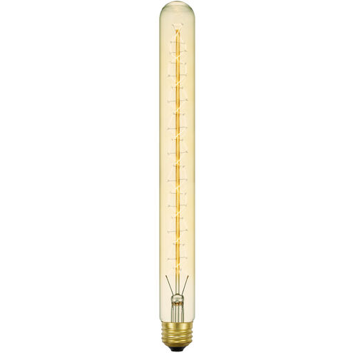 Edison T10 E26 60 watt 2300K Bulb