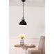 Anita 1 Light 10.4 inch Antique Bronze Hanging Lamp Ceiling Light