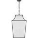 ED Ellen DeGeneres Arnio 4 Light 22 inch Aged Iron Pendant Ceiling Light