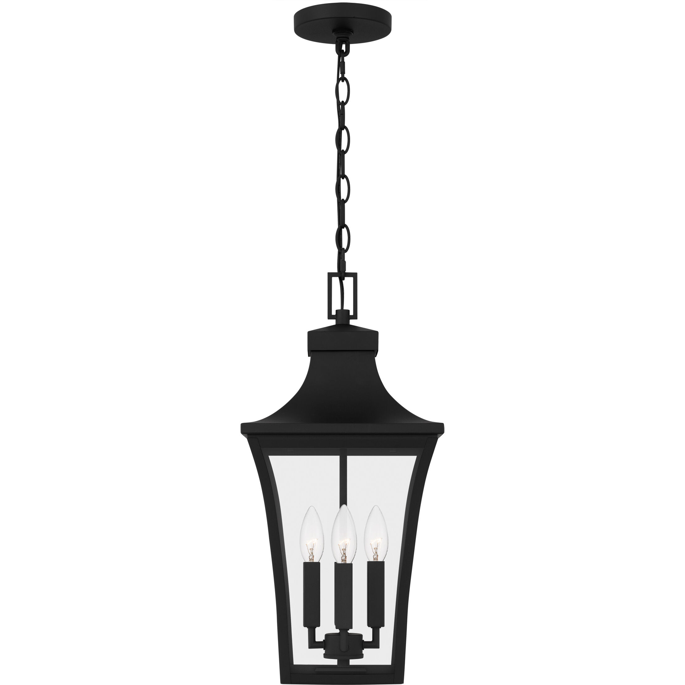Quentin 4 Light 10 inch Earth Black Outdoor Hanging Lantern, Large