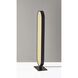 Atwood 42 inch 29.00 watt Black Floor Lamp Portable Light