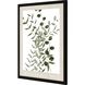 Florals Collection Dark Espresso Wood Framed Art