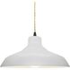 Radiance 1 Light 13.5 inch Bisque and Matte Black Pendant Ceiling Light