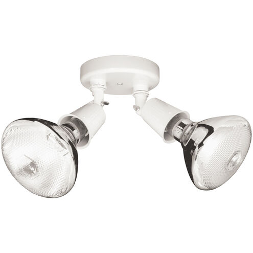 Outdoor 2 Light 4 inch White Outdoor Flood Light