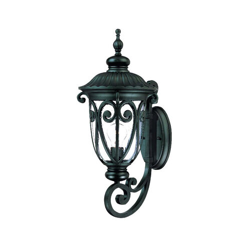 Naples 1 Light 23 inch Matte Black Exterior Wall Mount