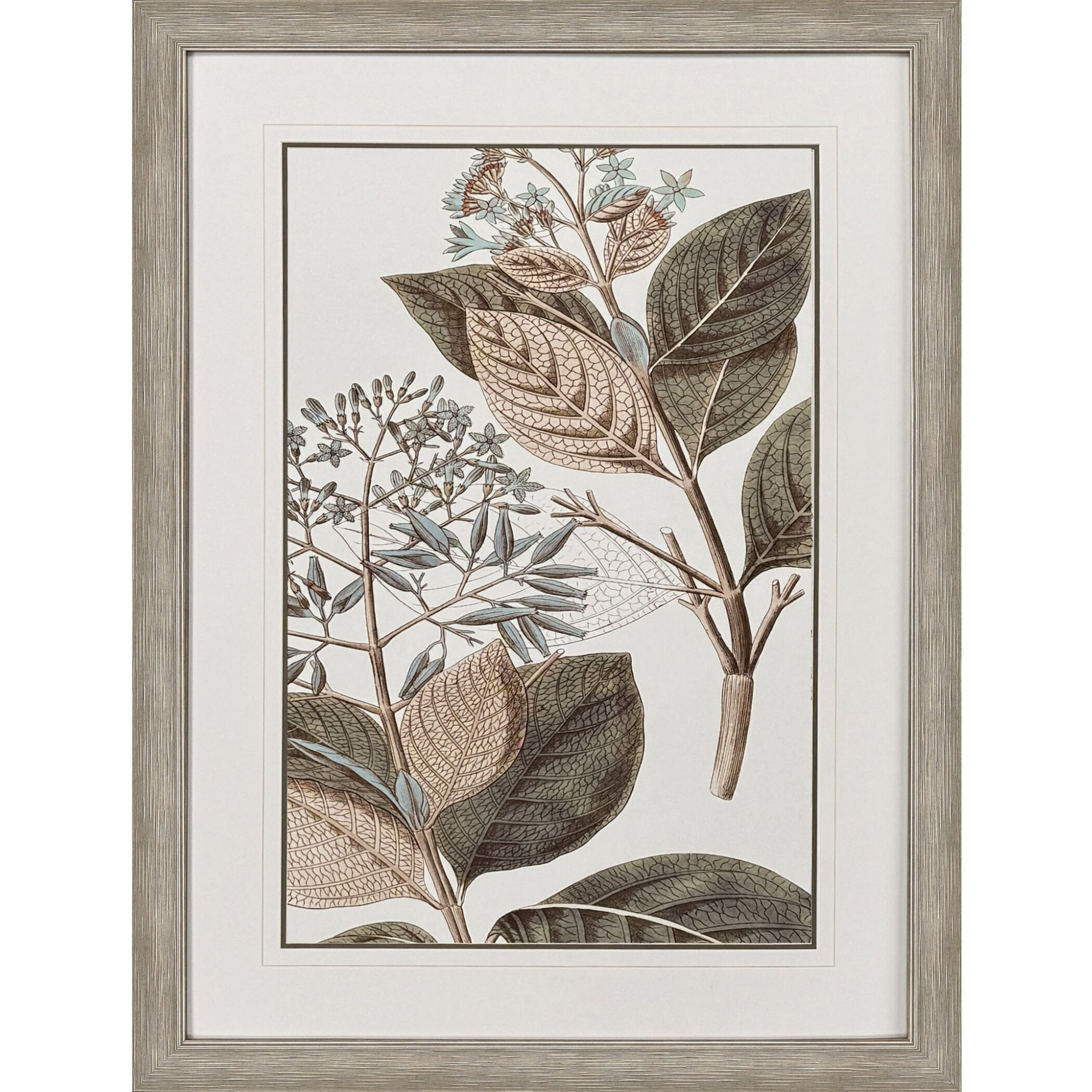 Flowering Botanical Green and Beige and Blue and Brown Framed Art