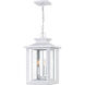 Wakefield 3 Light 10.75 inch Outdoor Pendant/Chandelier