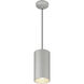 Pilson XL LED 6 inch Satin Pendant Ceiling Light