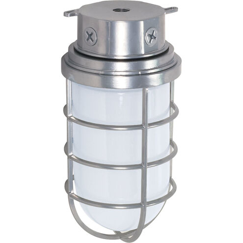 Brentwood 1 Light 6 inch Metallic Silver Outdoor Ceiling Mount