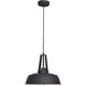 Nostalgia 1 Light 14 inch Matte Black Outer and Matte Gold Inner Pendant Ceiling Light