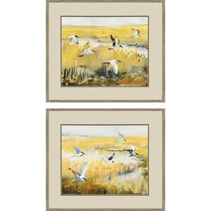 Terns on Marsh Yellow and Green and Black and Multi Framed Art