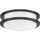DC Series 1 Light 10.31 inch Matte Black Flush Mount Ceiling Light