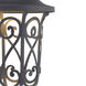 Leawood LED LED 10 inch Textured Black Outdoor Hanging Lantern, Design Series