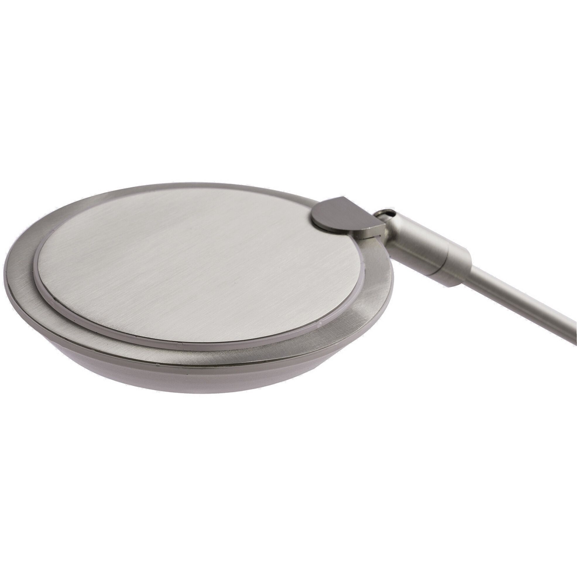 Iggy 22.8 inch 6 watt Satin Nickel Desk Lamp Portable Light