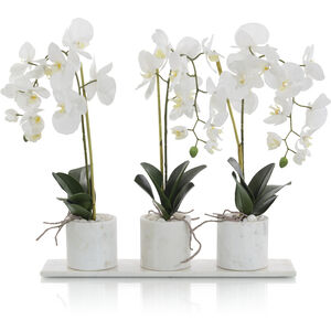 Marble Decorative Orchid