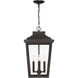 Great Outdoors Irvington Manor 4 Light 12.5 inch Chelesa Bronze Outdoor Chain Hung in Incandescent, Clear Glass, Large