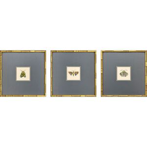 Pastel Moths Green and Blue and Multi and Pink Framed Art