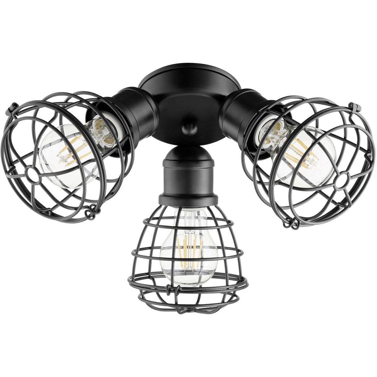 Fort Worth LED Noir Patio Fan Light Kit
