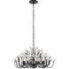 Wildflower 8 Light 32 inch Matte Black Chandelier Ceiling Light, Smithsonian Collaboration