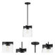 Scoop 1 Light 8 inch Black Single Pendant Ceiling Light in Clear