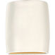 Ambiance Collection LED 10 inch Matte White/Champagne Gold Outdoor Wall Sconce