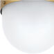 Capsule 1 Light 8 inch Matte Black and Textured Gold Outdoor Semi Flush, Brian Patrick Flynn