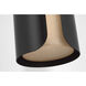 Anne-Marie Barton Armise LED 11 inch Matte Carbon Pendant Ceiling Light