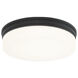 Circian LED 12 inch Matte Black Flush Mount Ceiling Light