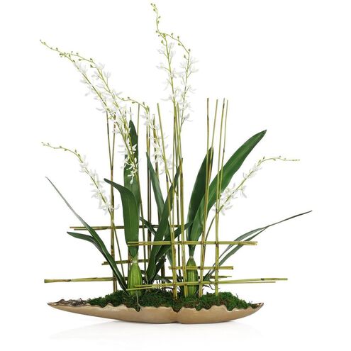 Asian Cymbidiums Botanical/Floral