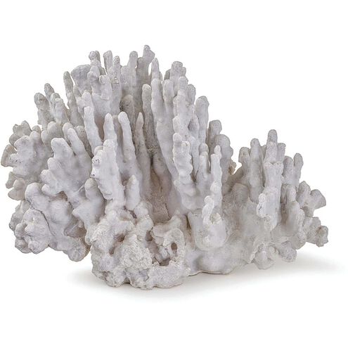 Coral Natural Coral Objet, Large