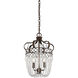 Rochelle 2 Light 12 inch New Tortoise Shell with Silver Pendant Ceiling Light