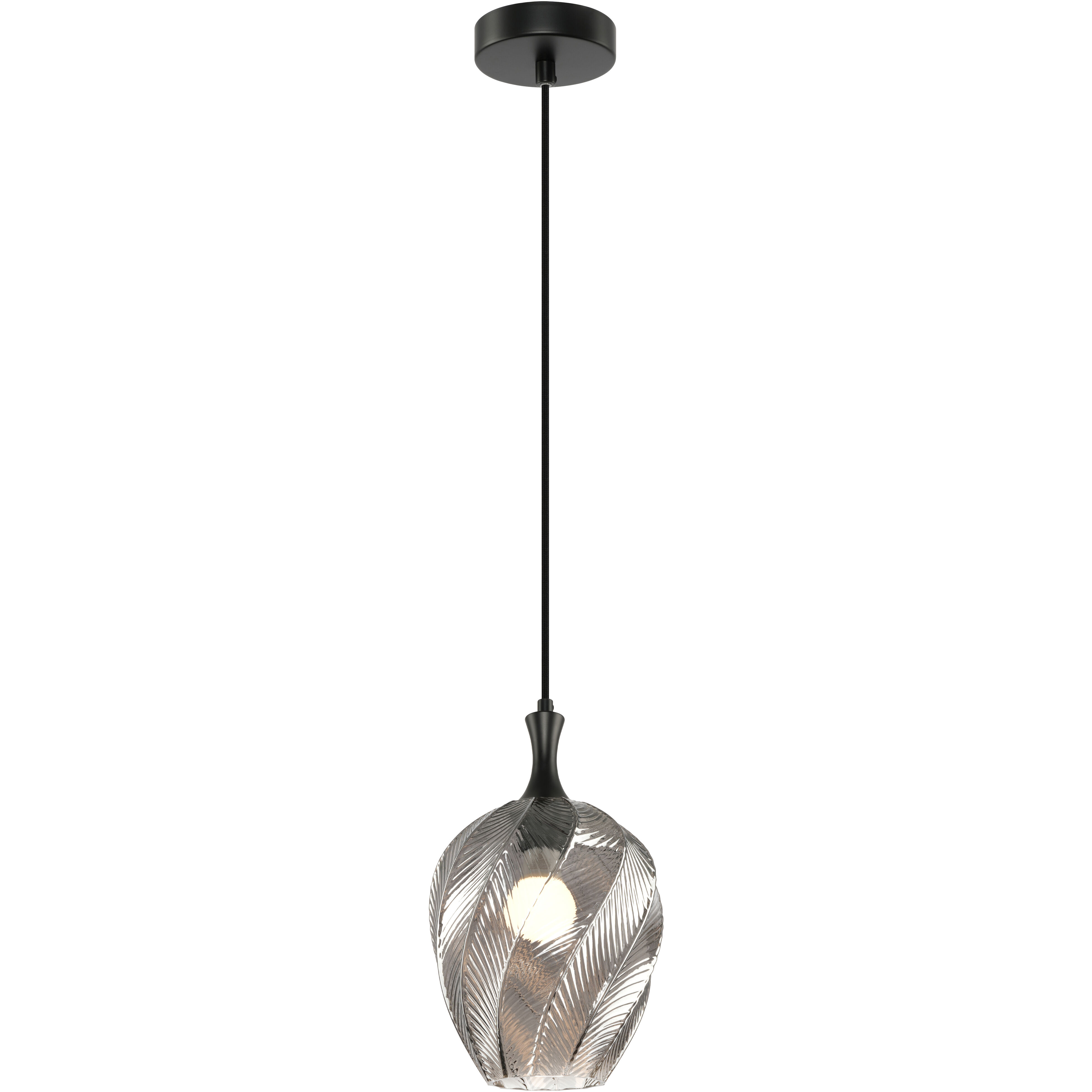 Eesha 1 Light 7.88 inch Matte Black and Smoked Glass Pendant Ceiling Light