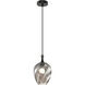 Eesha 1 Light 7.88 inch Matte Black and Smoked Glass Pendant Ceiling Light