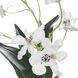 Clovis White and Green Orchid Drop-In