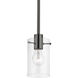 Munich 1 Light 5 inch Black Chrome Single Pendant Ceiling Light, Single