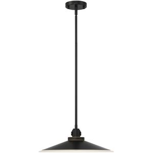 Deckard 1 Light 16 inch Gold and Black Outdoor Pendant