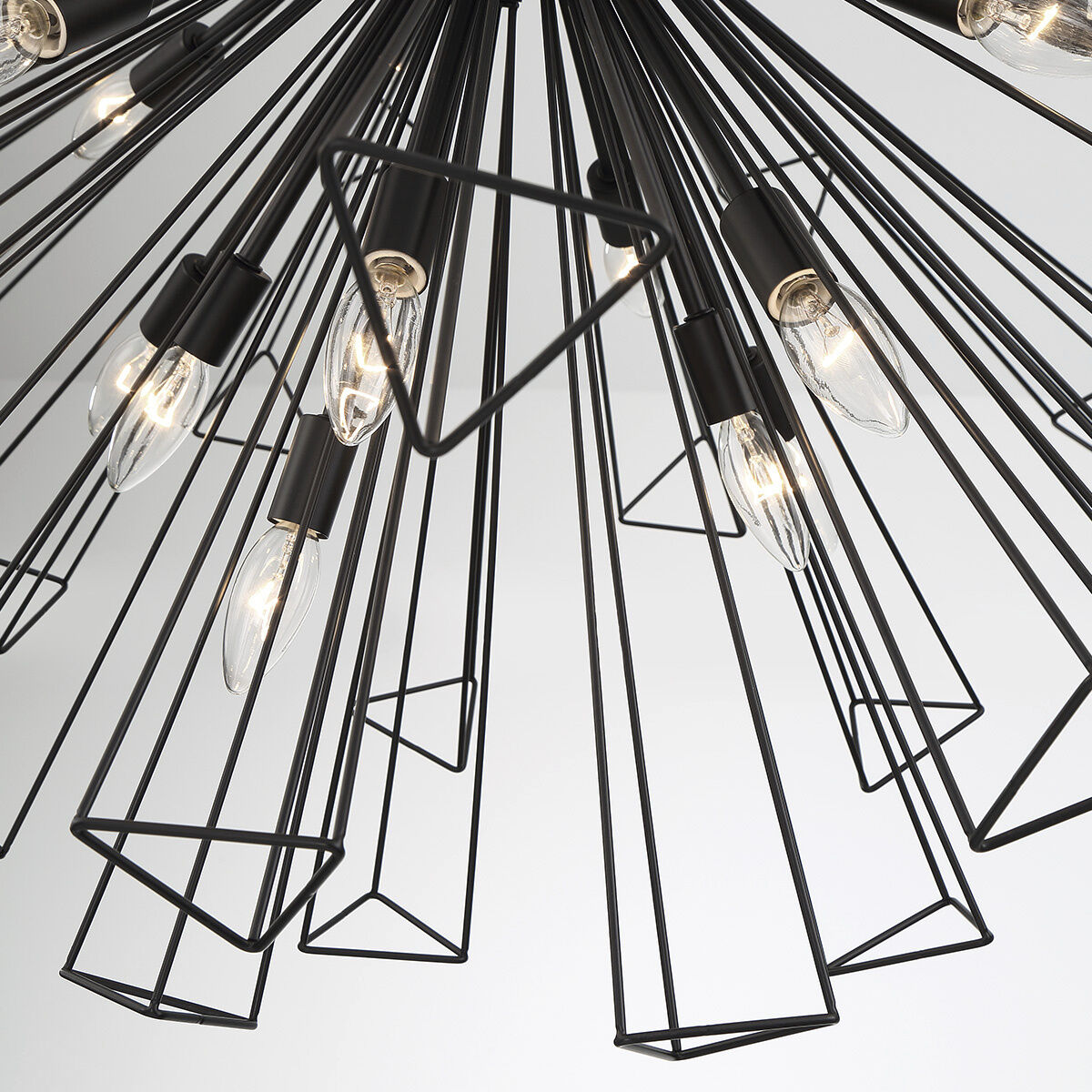 Dendelio 29 Light 40 inch Black Chandelier Ceiling Light