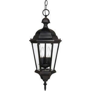 Carriage House 3 Light 10 inch Black Outdoor Hanging Lantern