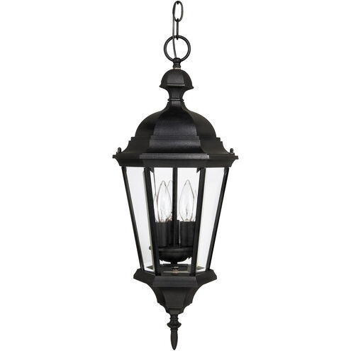 Carriage House 3 Light 10 inch Black Outdoor Hanging Lantern