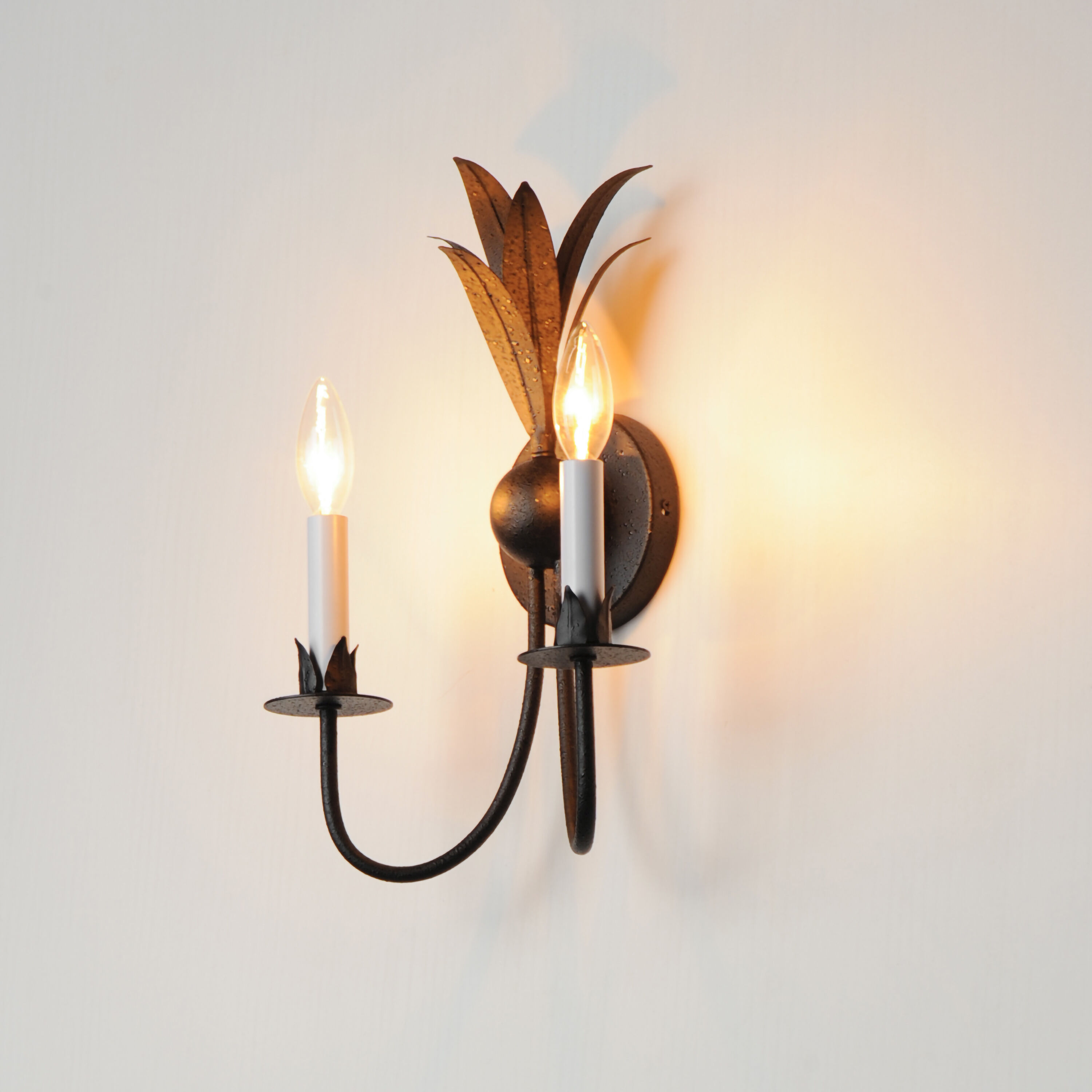 Paloma 2 Light 10.25 inch Anthracite Wall Sconce Wall Light