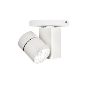 Exterminator II 1 Light 4.50 inch Flush Mount