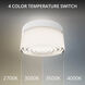 Balto I LED 5.38 inch White Outdoor Flush Mount, dweLED
