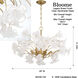 Bloome 6 Light 29 inch Legacy Brass Chandelier Ceiling Light in Clear Handmade Glass