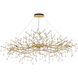 Canada 14 Light 24 inch Solid Brass Chandelier Ceiling Light