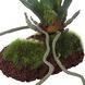 Clovis White and Green Orchid Drop-In