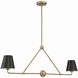 Xavier 2 Light 42 inch Vibrant Gold Linear Chandelier Ceiling Light