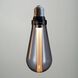 Buster LED E26 2.00 watt 120 2500K Light Bulb in Smoked